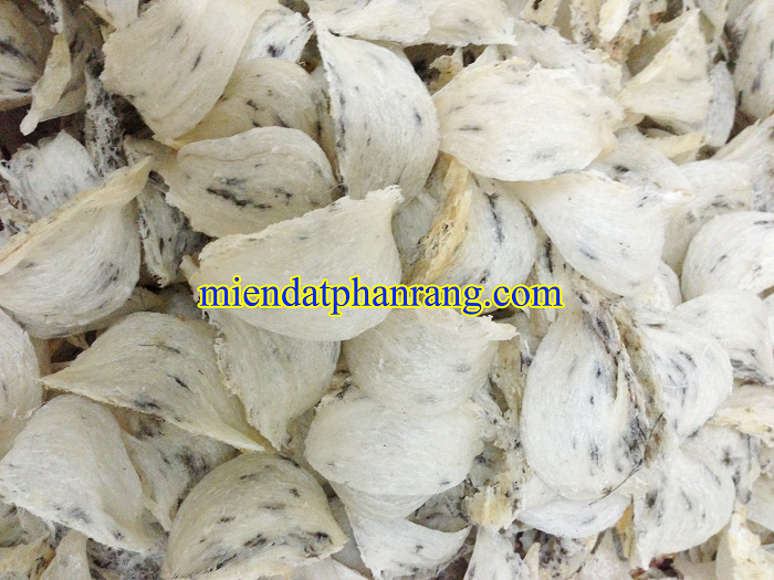 tổ yến phan rang mỹ oanh